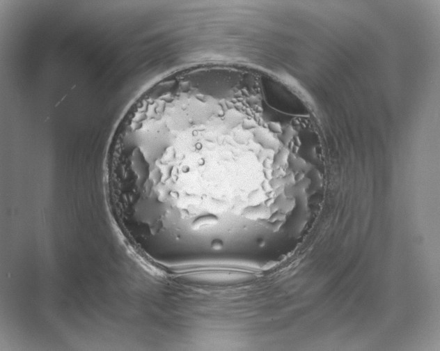 X0000073491287200608140832