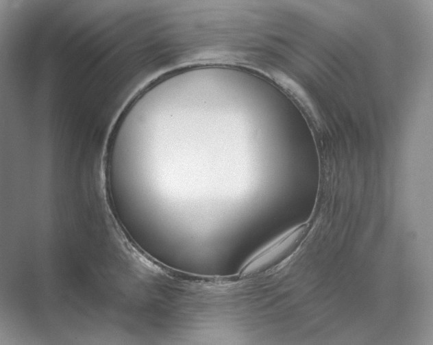 X0000073491288200608140832