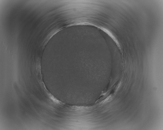 X0000073491289200608140832