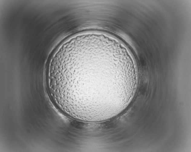 X0000073491290200608140832