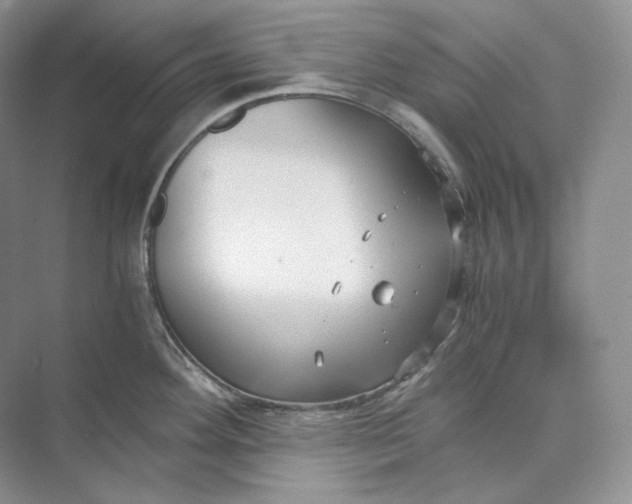 X0000073491292200608140832