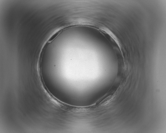 X0000073491293200608140832