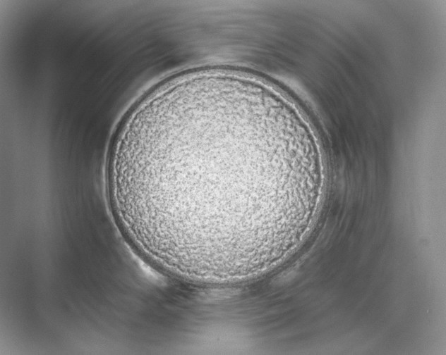 X0000073491294200608140832