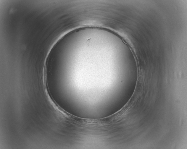 X0000073491295200608140832