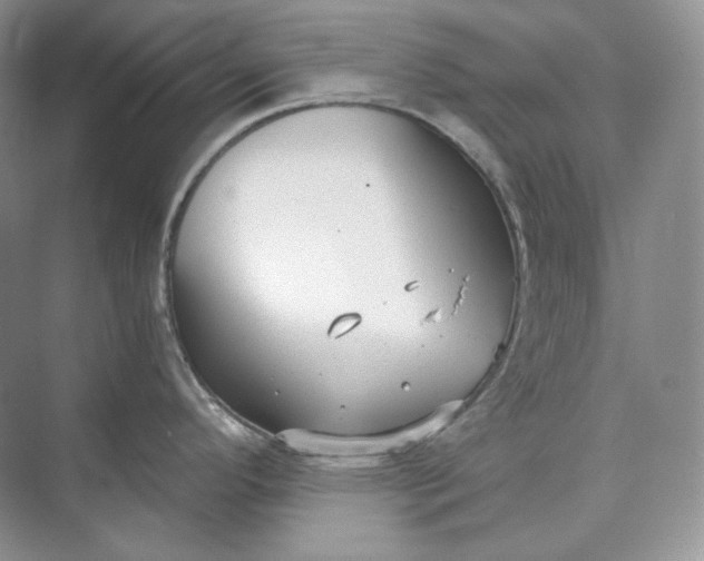 X0000073491296200608140832