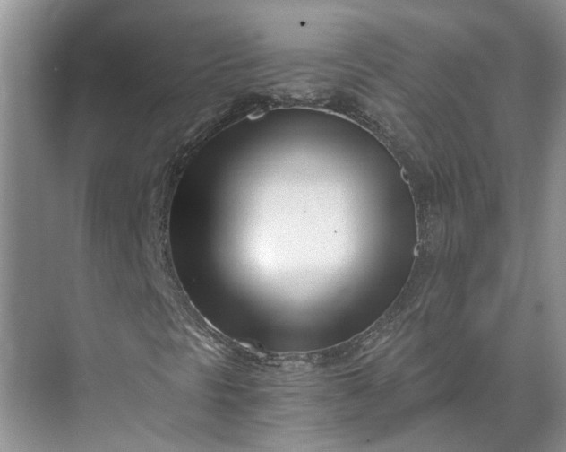 X0000073491297200608140831