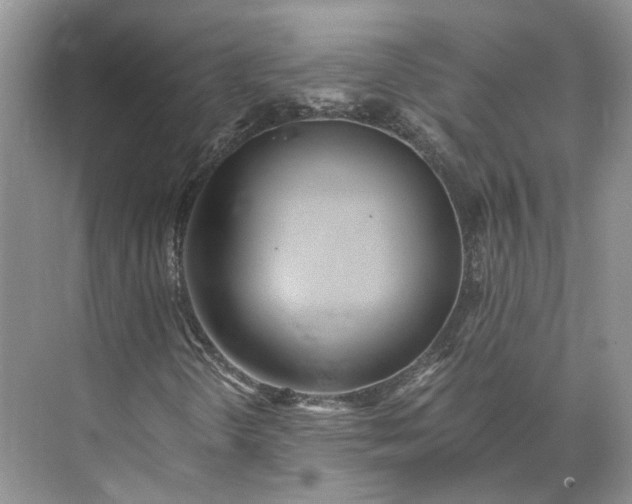 X0000073491298200608140831