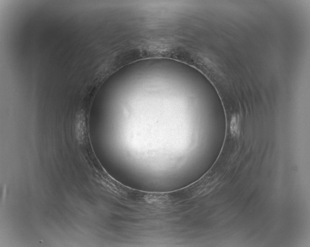 X0000073491299200608140831