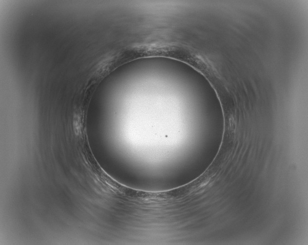 X0000073491300200608140831