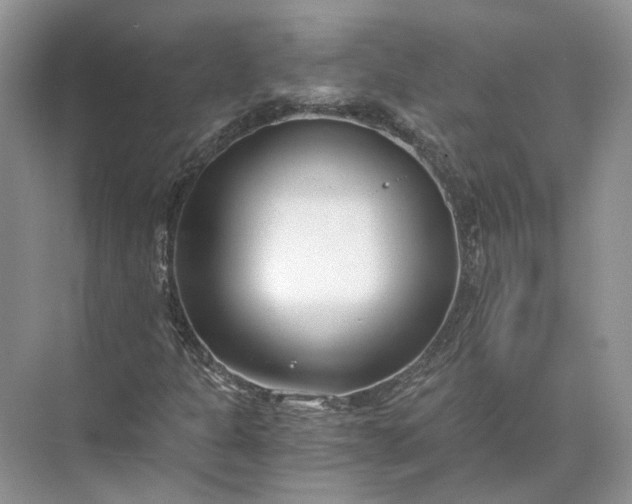 X0000073491301200608140831