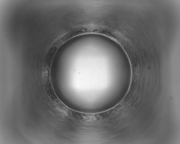 X0000073491302200608140831