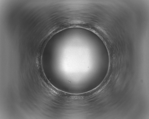 X0000073491305200608140832