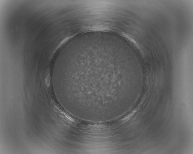 X0000073491306200608140832