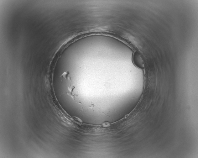 X0000073491308200608140832