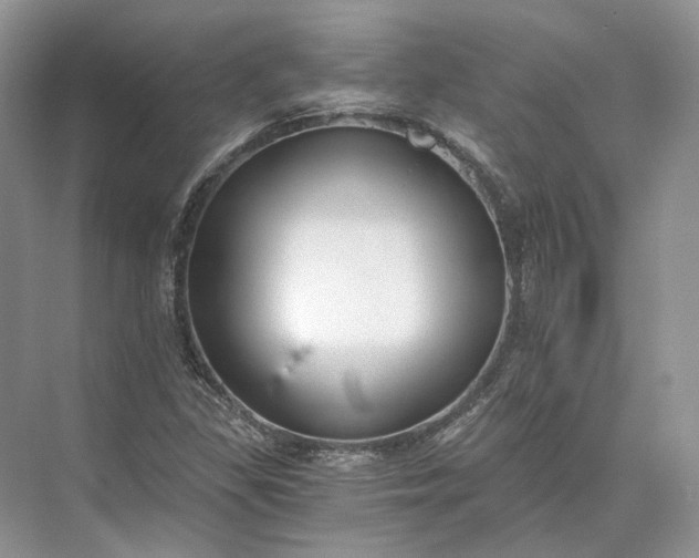 X0000073491309200608140832