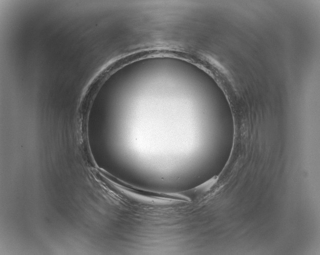 X0000073491310200608140832