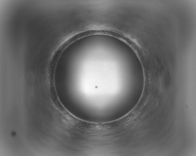 X0000073491311200608140832