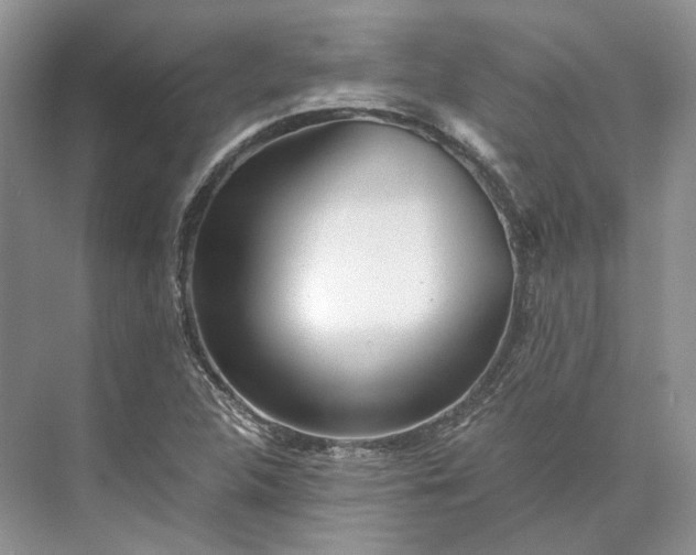 X0000073491312200608140832