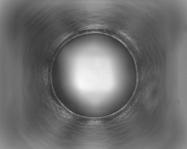 X0000073491313200608140832