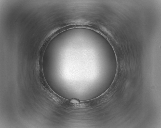 X0000073491315200608140832