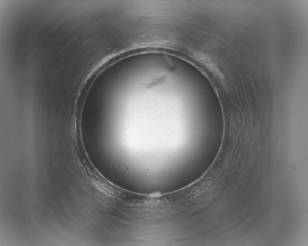 X0000073491316200608140832