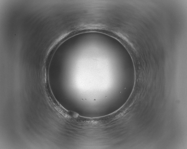 X0000073491317200608140832