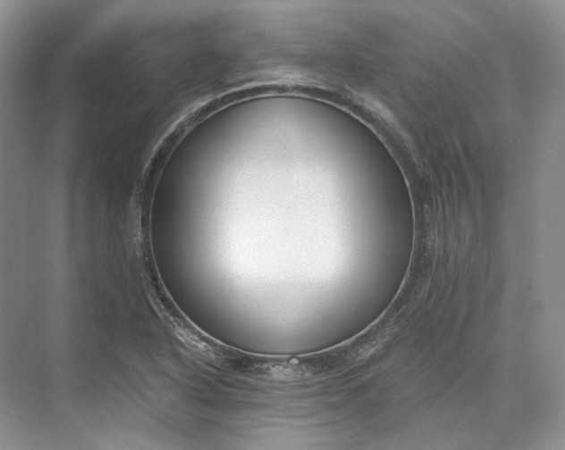 X0000073491318200608140832