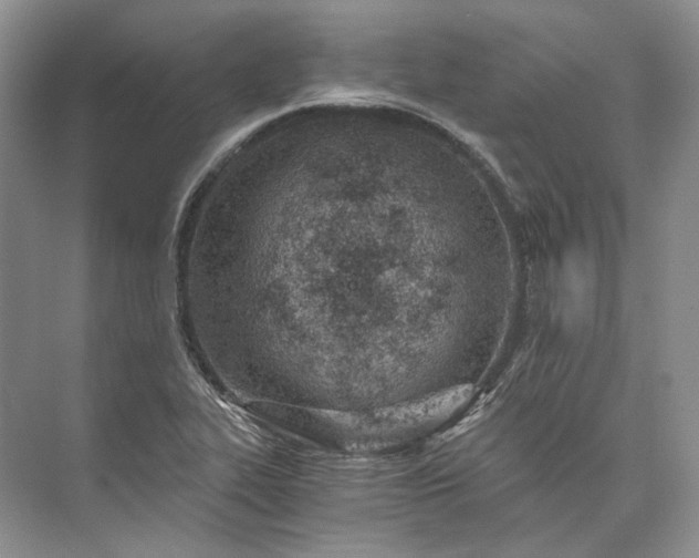 X0000073491319200608140832