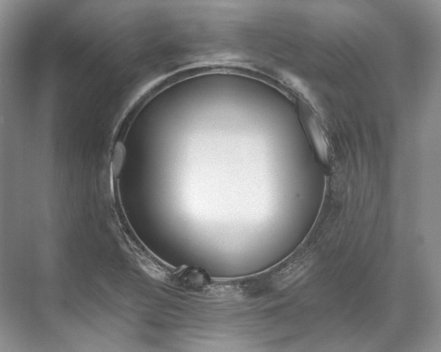 X0000073491320200608140832