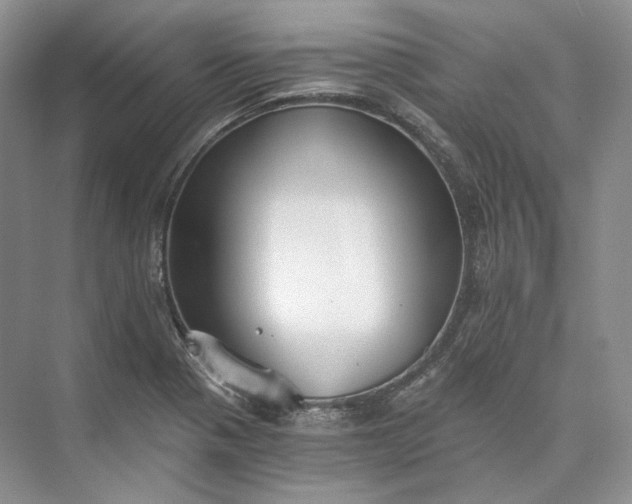 X0000073491321200608140832