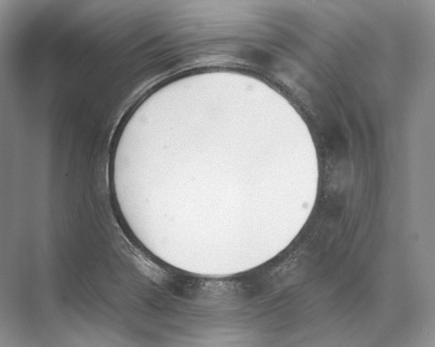 X0000073491322200608140832