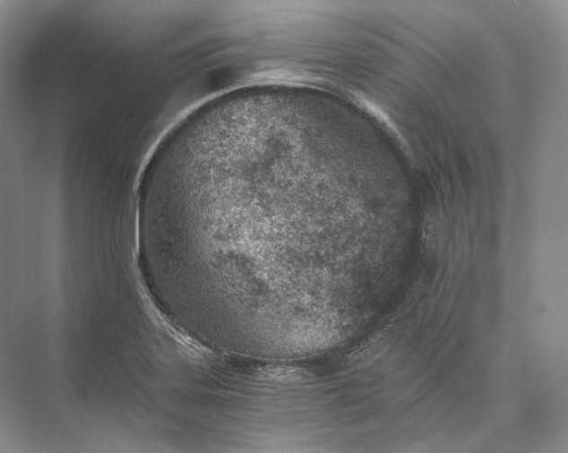 X0000073491323200608140832