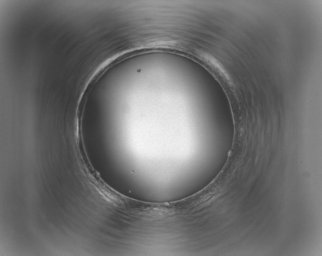 X0000073491324200608140832