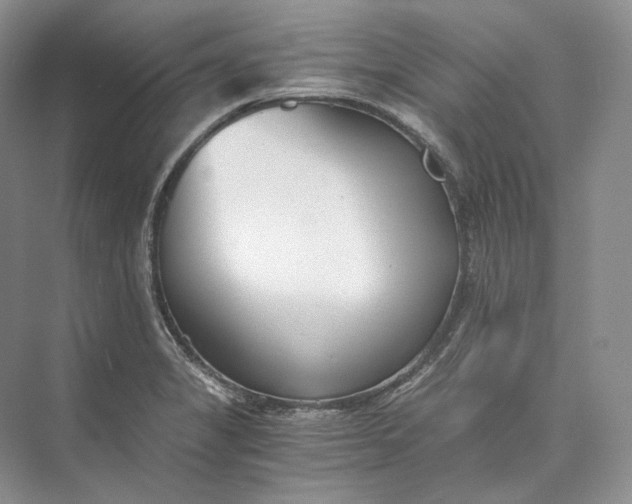 X0000073491325200608140832