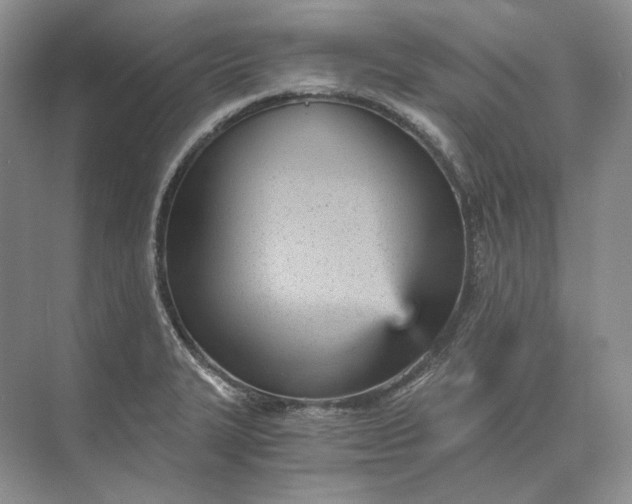 X0000073491327200608140832