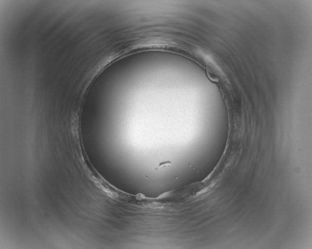 X0000073491329200608140832