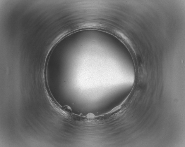 X0000073491330200608140832