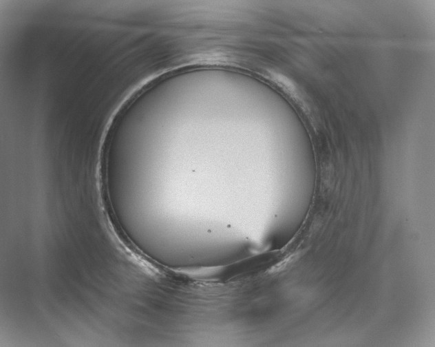 X0000073491331200608140832