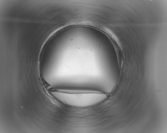 X0000073491332200608140832