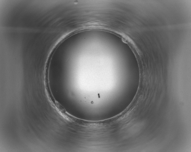 X0000073491333200608140832