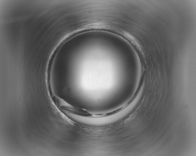 X0000073491334200608140832