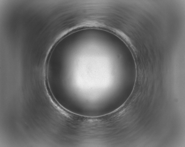 X0000073491335200608140832