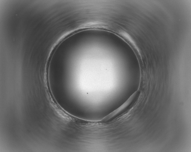 X0000073491336200608140832