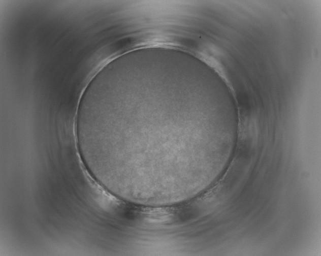 X0000073491338200608140832