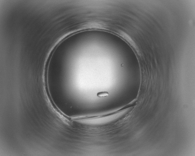 X0000073491339200608140832