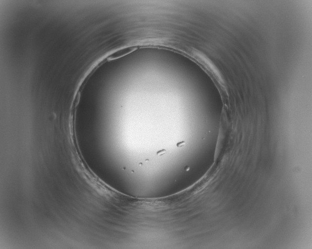 X0000073491340200608140832