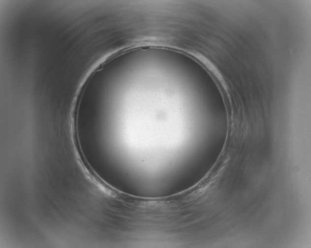 X0000073491341200608140832