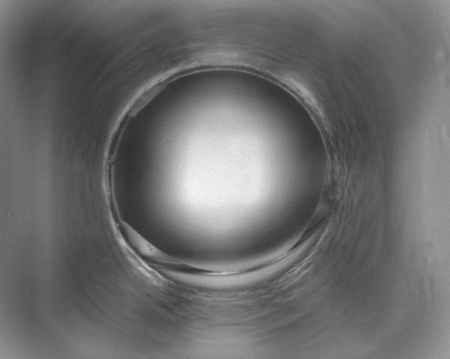 X0000073491342200608140832