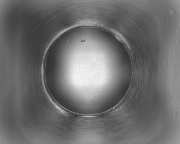 X0000073491343200608140832