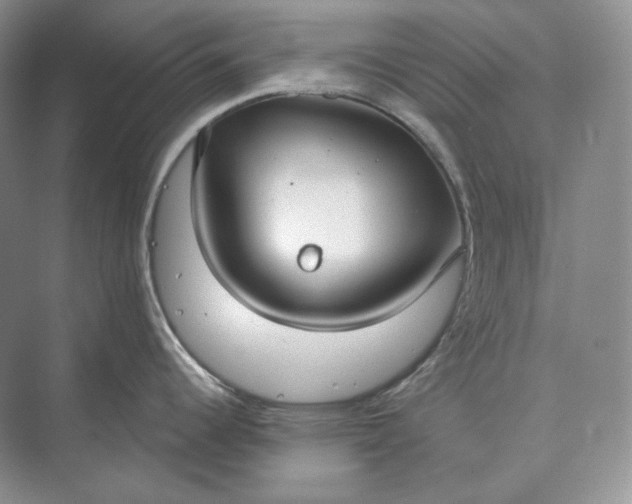 X0000073491344200608140832